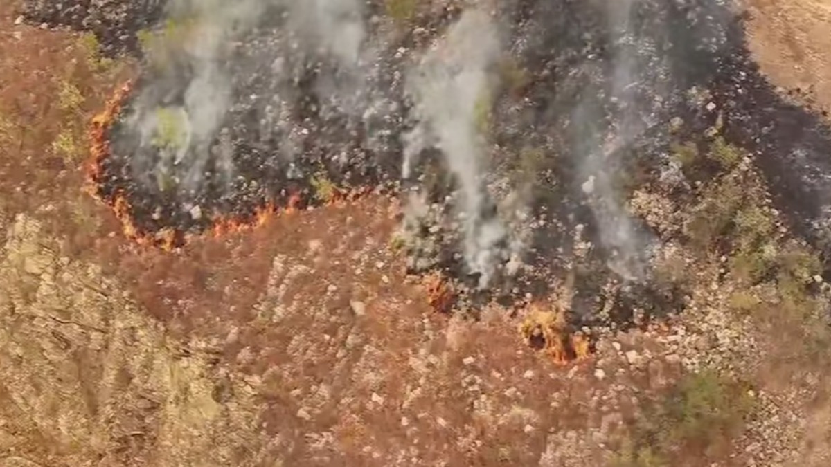 Incendio en la serranía de Sama, Tarija. Foto: Captura