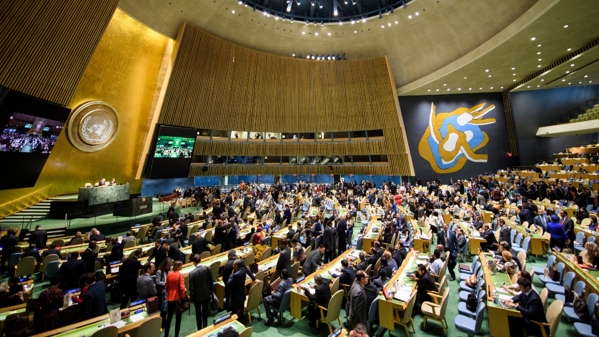 La Asamblea General de las Naciones Unidas.