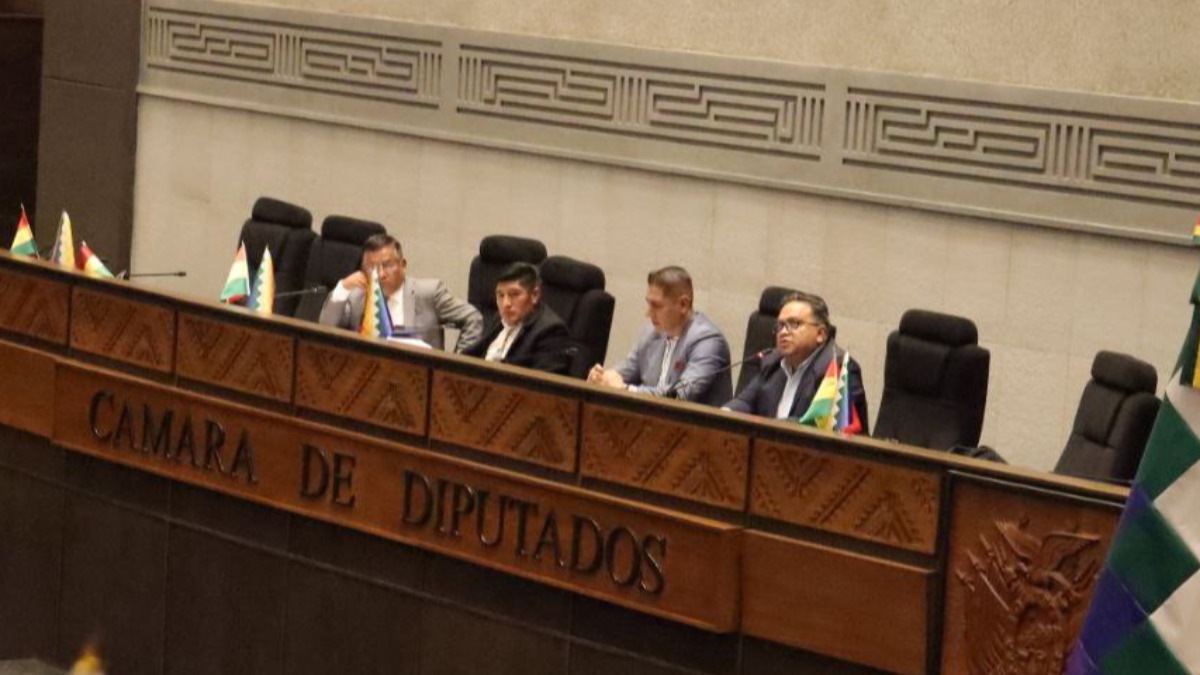 La comisión de Economía sesionó en el hemiciclo de Diputados. Foto: RRSS