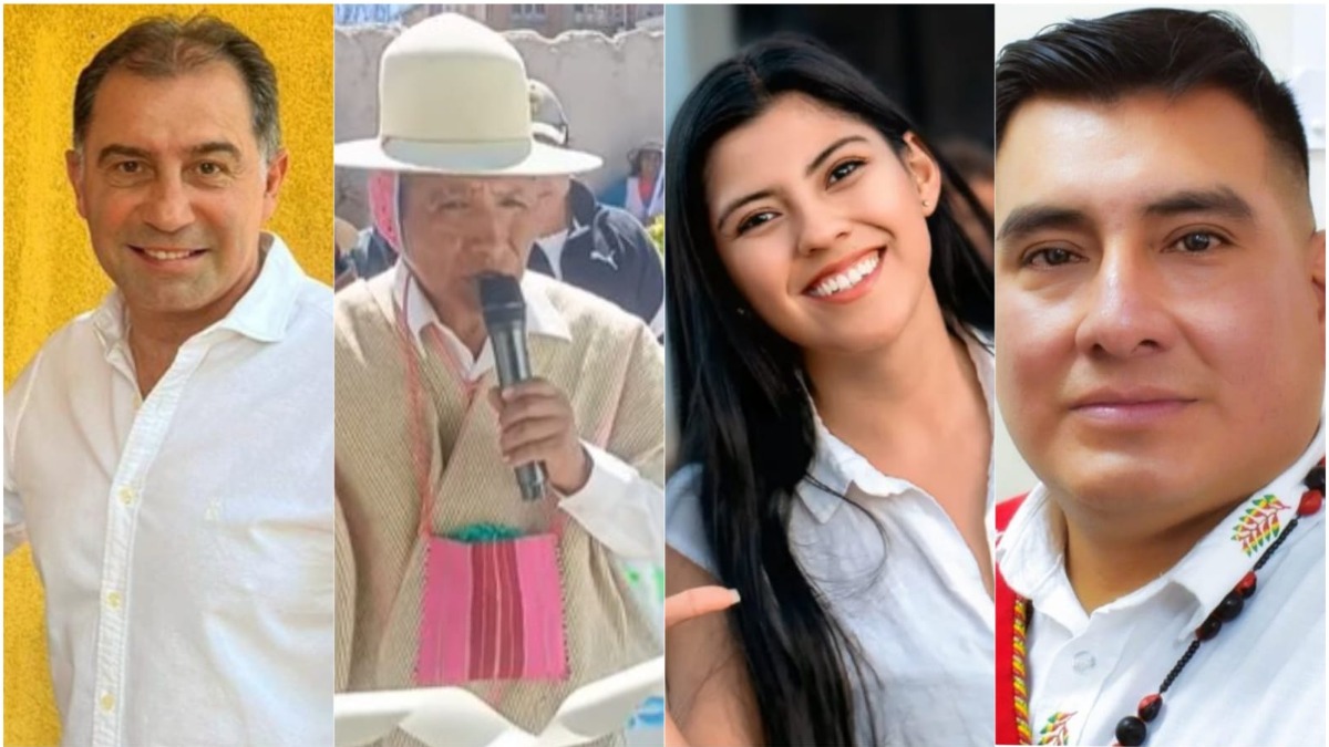 Los diputados supraestatales y de circunscripción especial electos. Foto: ANF