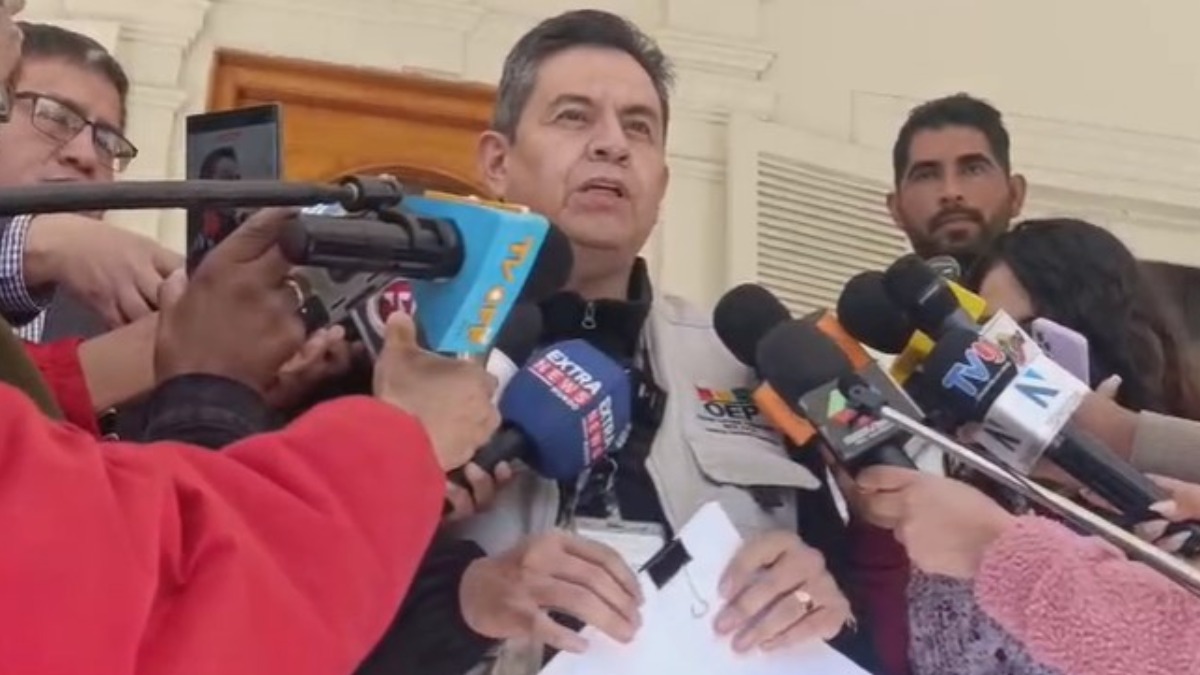 Secretario de Cámara del TSE, Fernando Arteaga. Foto. Captura