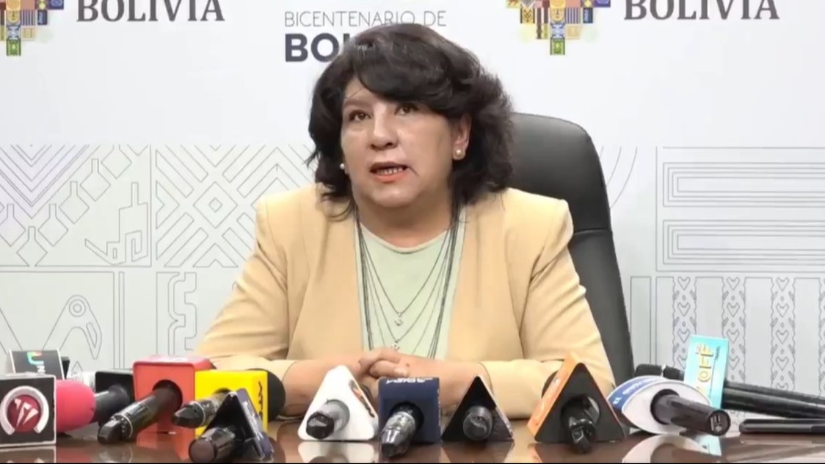 Viceministra de Seguridad Ciudadana, Carola Arraya. Foto: Captura