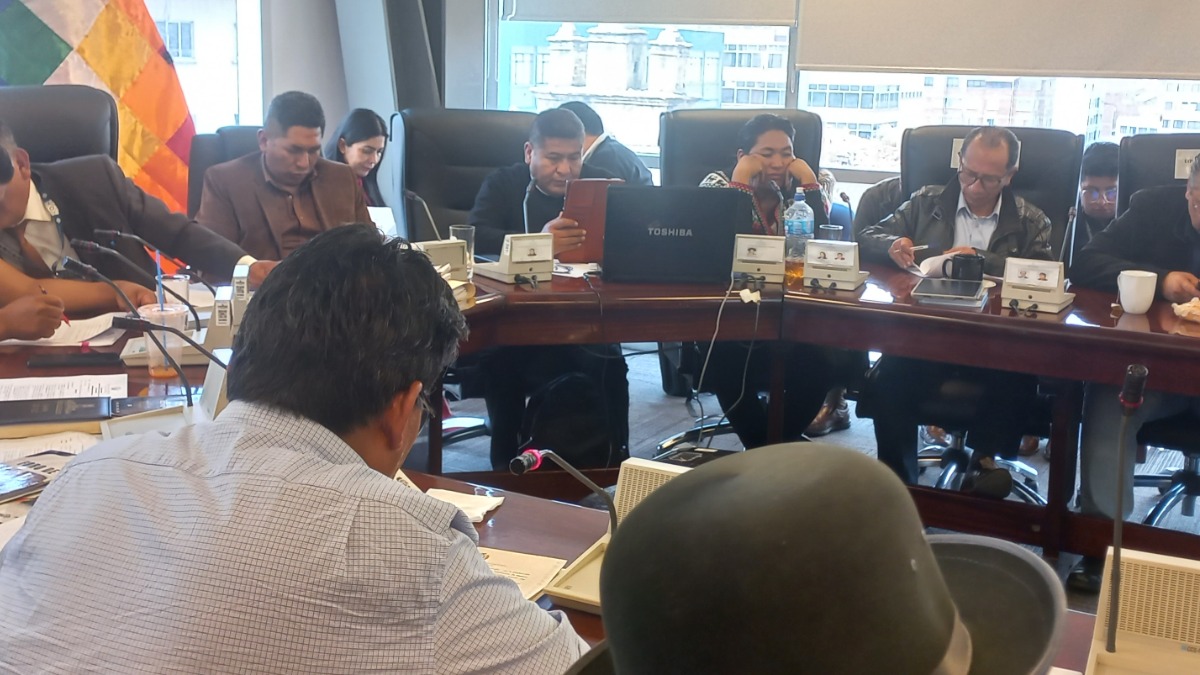 Gerente de Emapa, Richard Ramos, en la comisión de Economía Plural. Foto: ANF