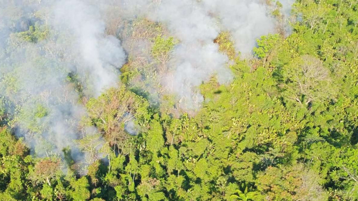 Incendio en el Parque Noel Kempff. Foto: Activistas