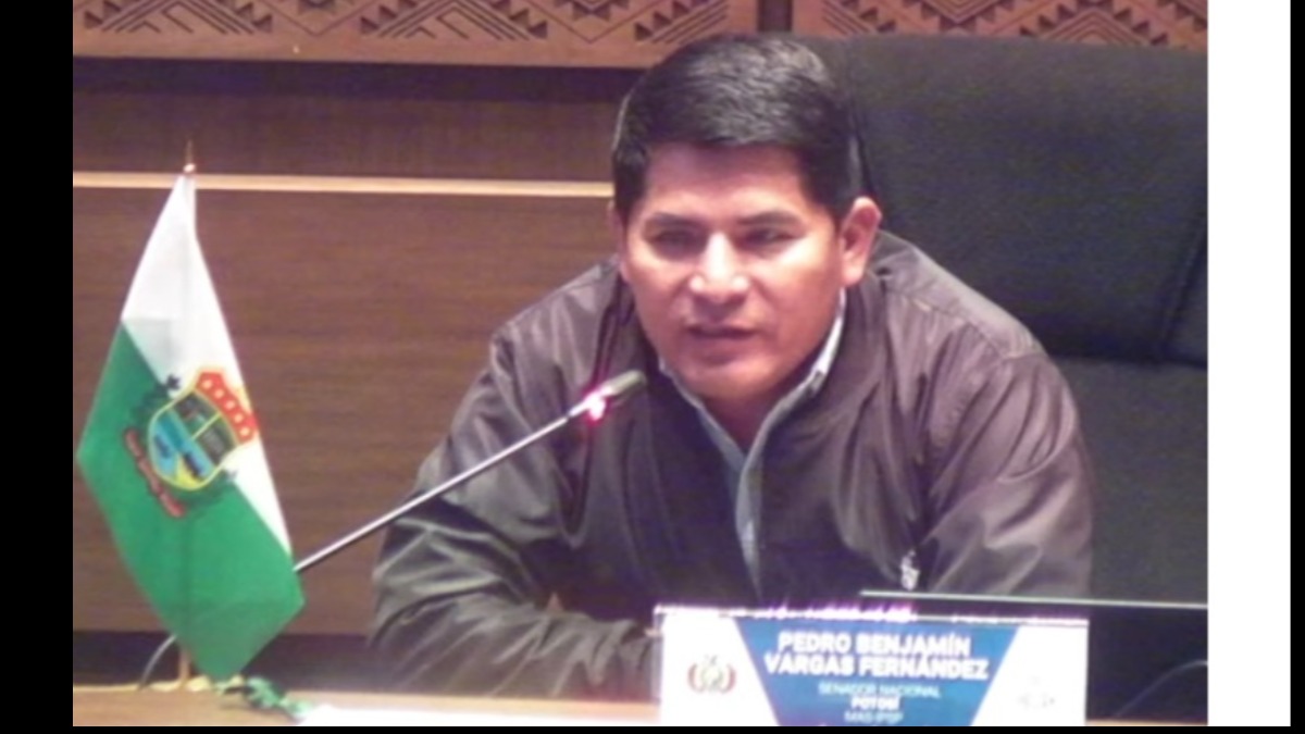 Senador Pedro Benjamín Vargas, en la Sesión Ordinaria Nº 172. Foto: Captura transmisón de YouTube