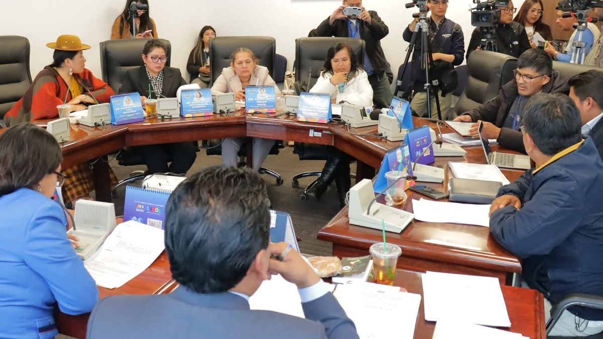 Comisión de Constitución de la Cámara de Diputados. Foto: RRSS
