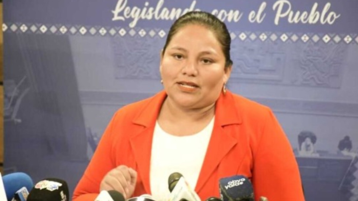 Diputada del MAS Deysi Choque. Foto: Internet
