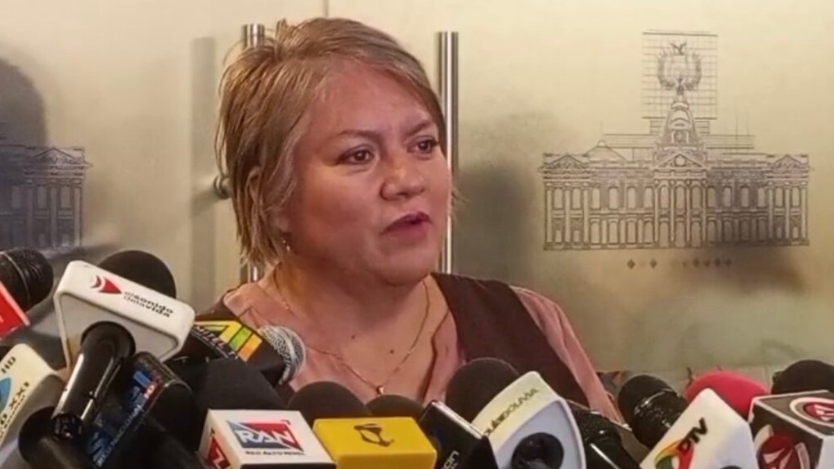 Diputada electa por el PDC Patricia Patiño. Foto: Internet