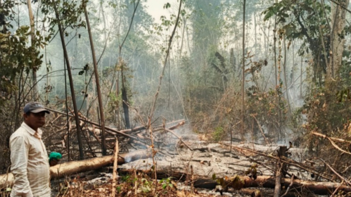 El fuego también afecta los territorios indígenas. Foto: Cejis