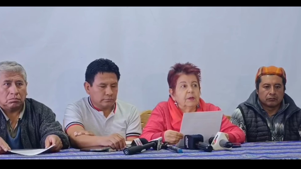 Teresa Morales, exministra en el gobierno de Evo. Foto: Captura de video