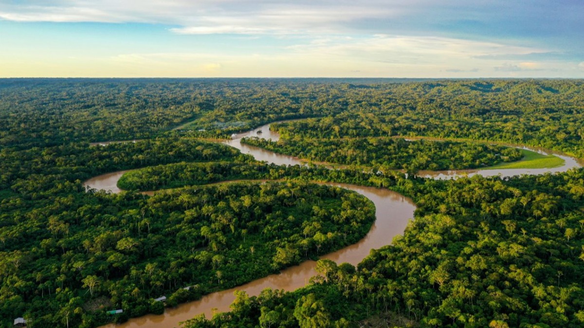 Parte de la Amazonia, uno de los ecosistemas más importantes de la Tierra. Foto: Internet