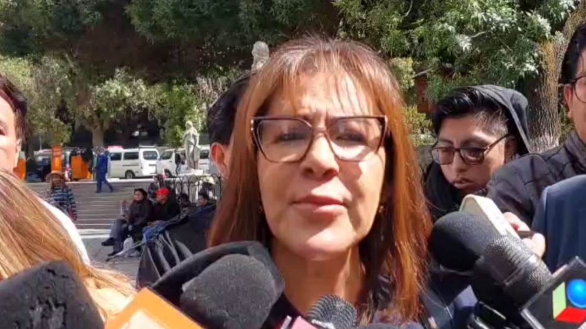 Sandra Villegas, diputada del PDC. Foto: Captura de video