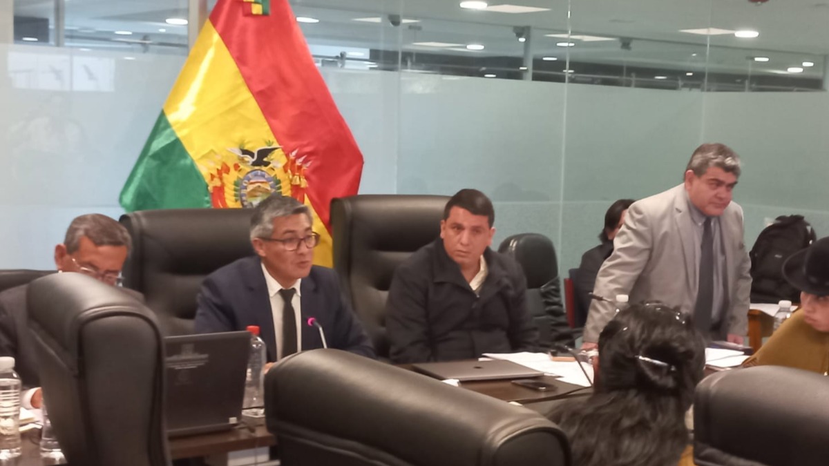 El ministro de Economía, Gabriel Espinoza, participó en la sesión de la comisión de Planificación. Foto: ANF