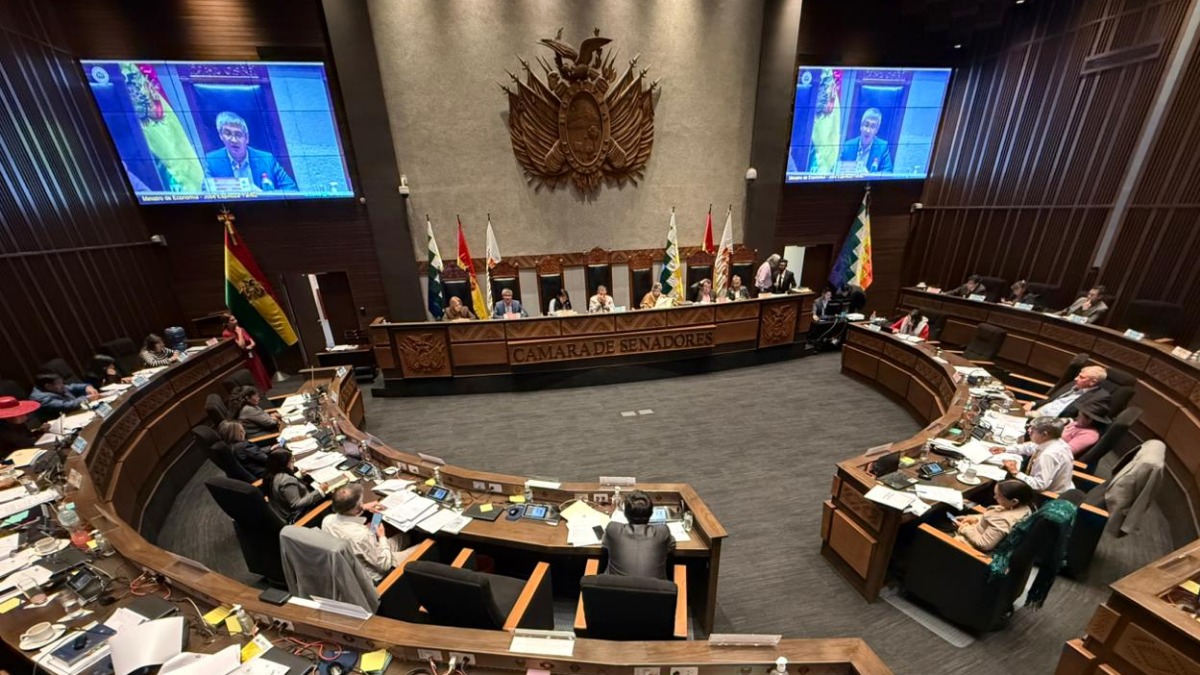 Foto: Cámara de Senadores