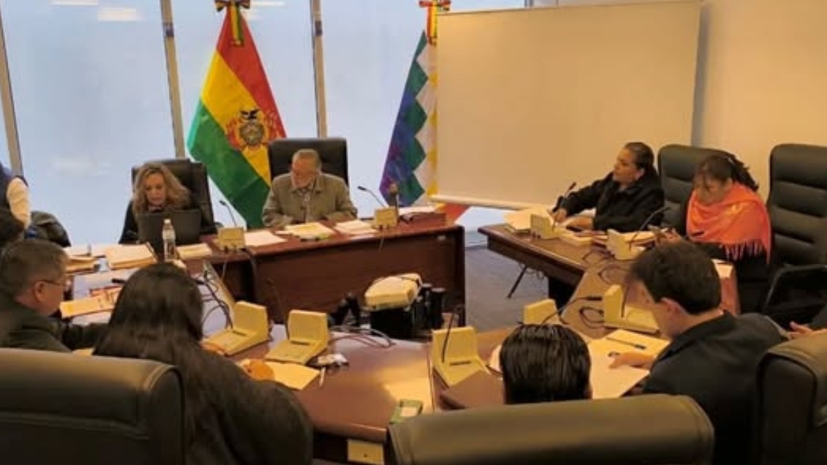 La Comisión de Constitución de la Cámara de Diputados. Foto: RRSS