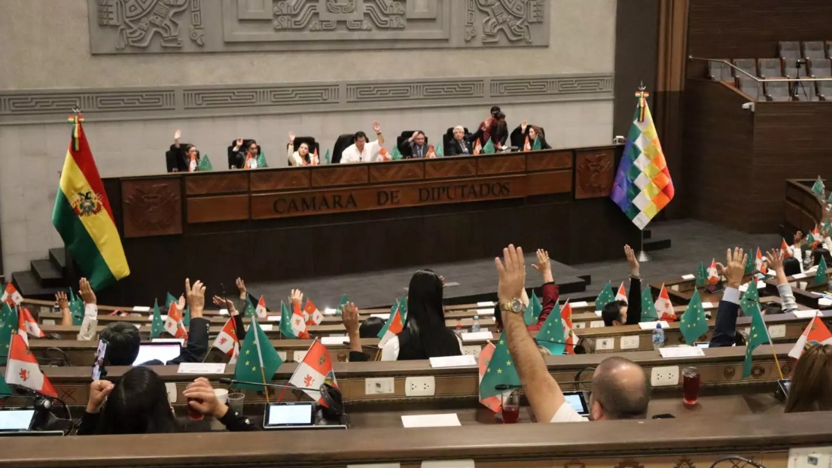 Pleno de la Cámara de Diputados. Foto: Internet