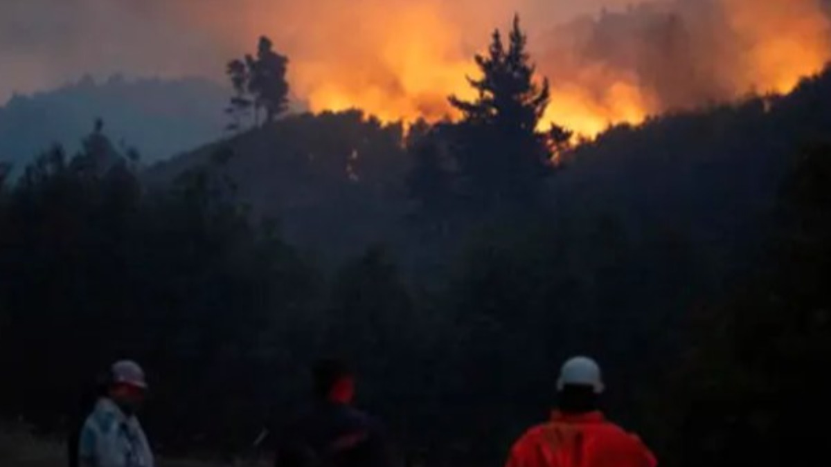 Incendios en la Patagonia, Argentina.