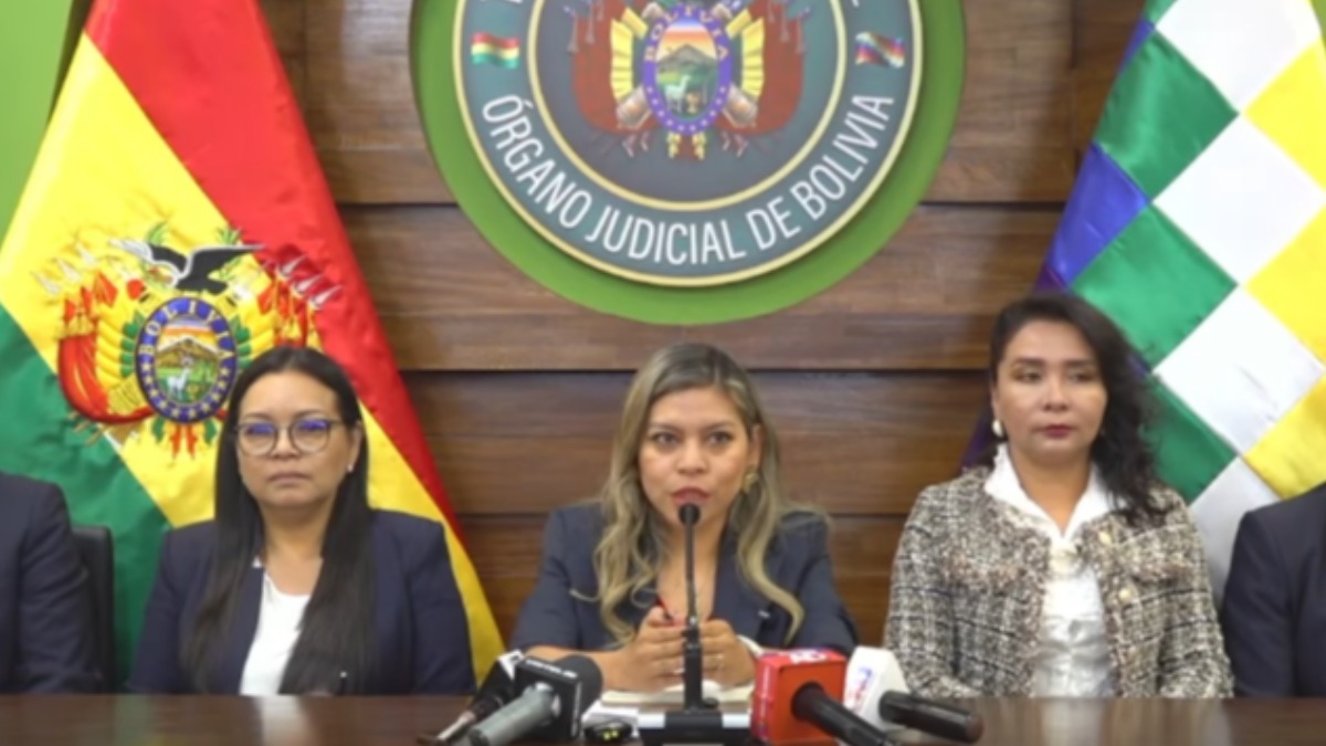 La presidenta del Tribunal Agroambiental, Roxana Chávez. Foto: Captura de video
