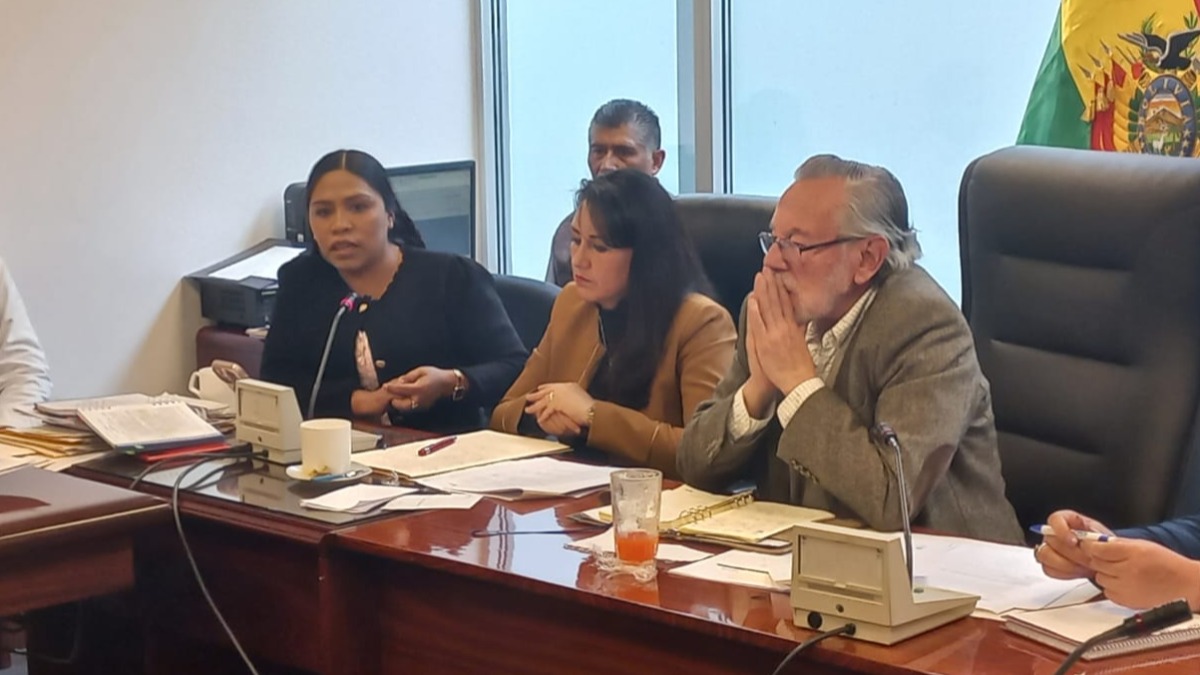 Magistradas del TCP en la comisión de Constitución de Diputados. Foto: ANF