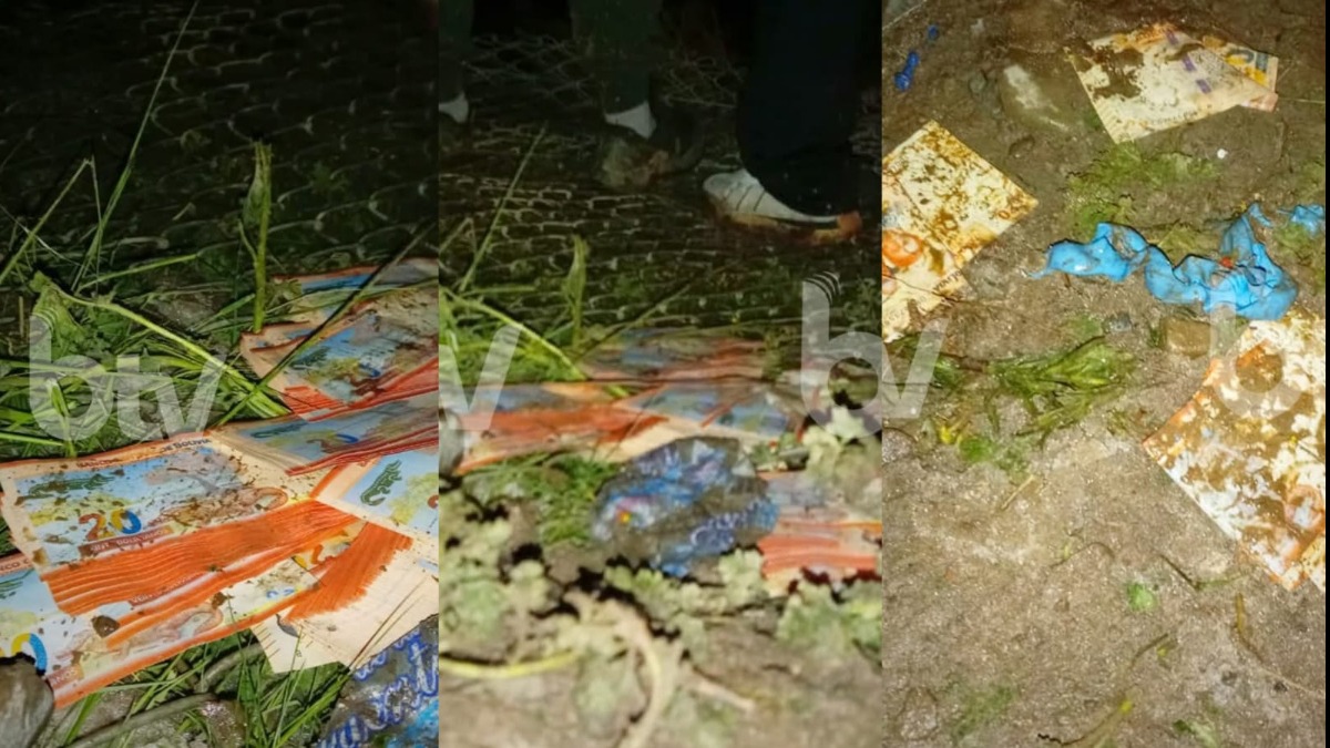 Billetes que se encontraban en la aeronave siniestrada. Foto: Btv