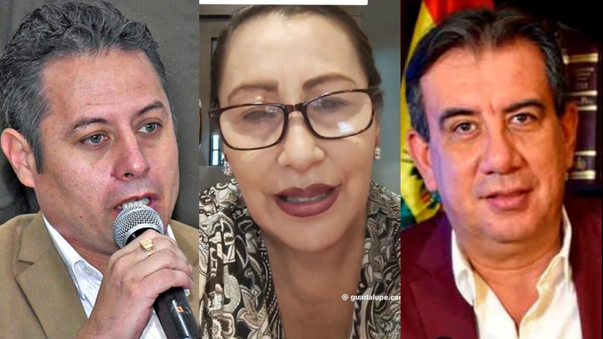 El vicepresidente Edmand Lara demandó a Guadalupe Cárdenas y Jaime Soliz. Foto: ANF
