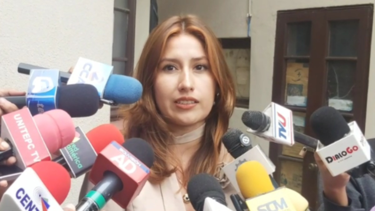La diputada Sofía Rocha, de Alianza Libre. Foto: Captura de video