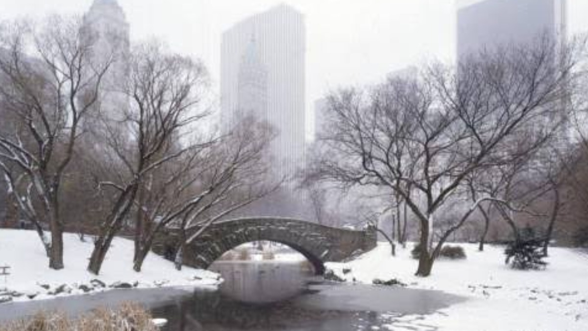 La ola invernal en Nueva York, EEUU.