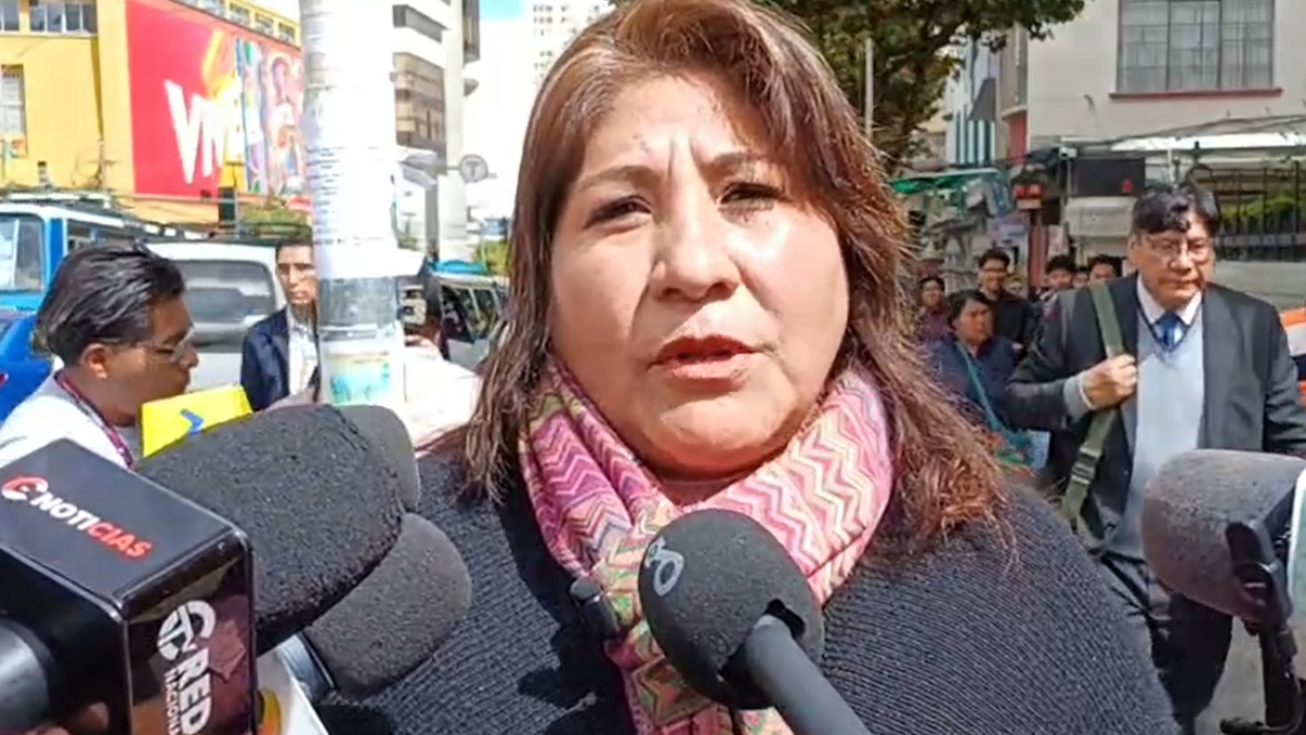 La representante de Conamype, Helen Rivero, se pronuncia sobre el proyecto de ley para condonar deudas tributarias. Captura de video
