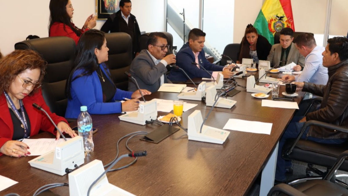 Sesión de la comisión de Justicia Plural de Diputados. Foto: Cámara de Diputados.