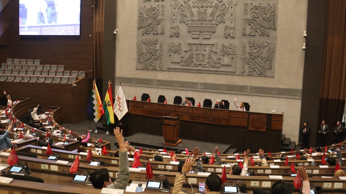 Sesión del pleno de la Cámara de Diputados. Foto: RRSS