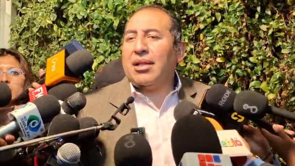 Viceministro de Coordinación Legislativa, Wilson Santamaría. Foto: Captura de video