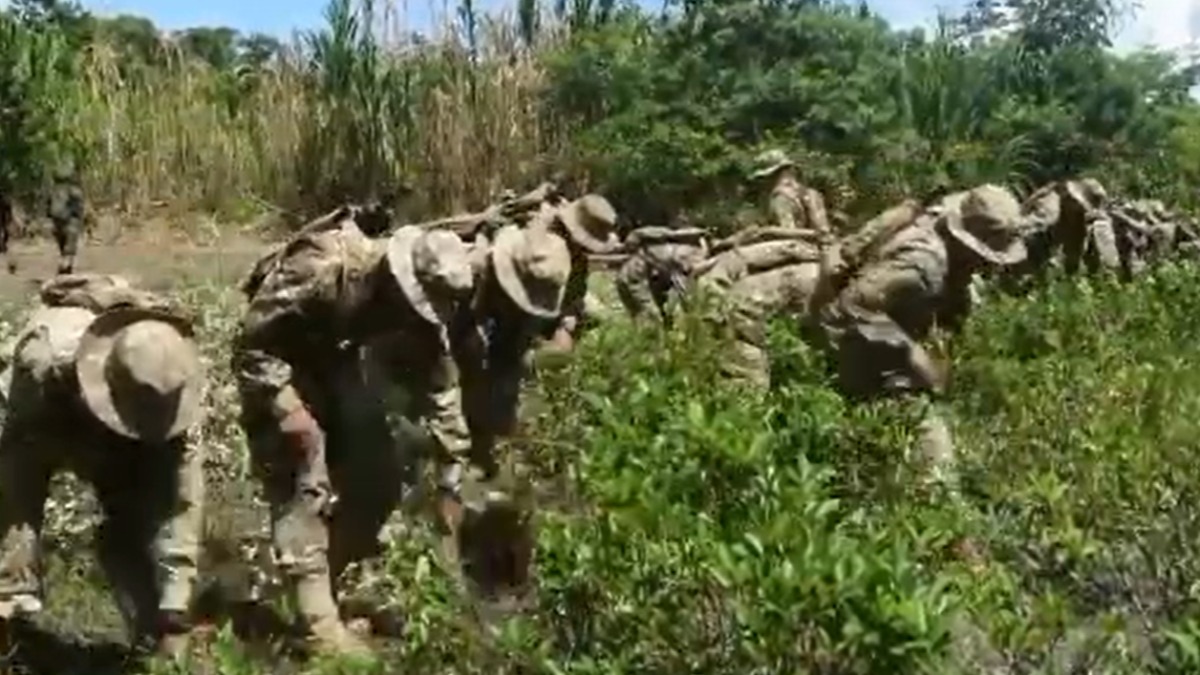 Agentes de la Fuerza de Tarea Conjunta erradican cocales ilegales en el Chapare. Fotografía: Captura de video.