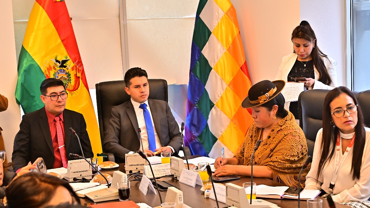 Comisión de Justicia Plural de la Cámara de Diputados analiza el proyecto de ley de Acceso a la Información y Documentación Pública. Crédito: Franz Chávez – ANP