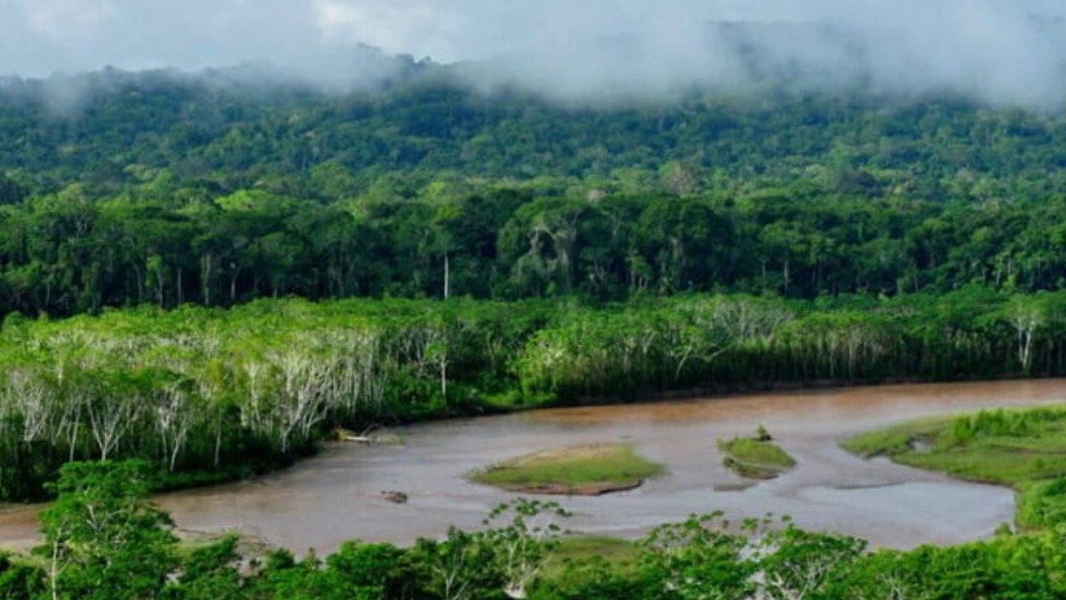 El Madidi. Foto: Sernap