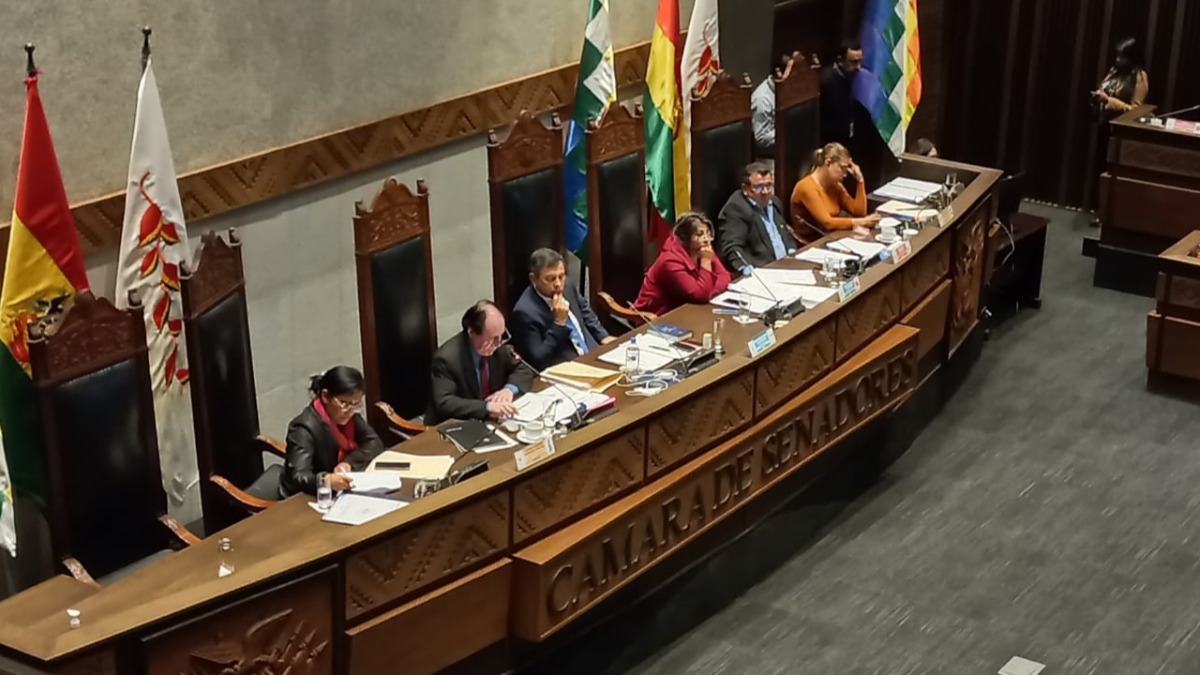 El presidente del Banco Central ofrece un informe al Senado. Fotografía: ANF
