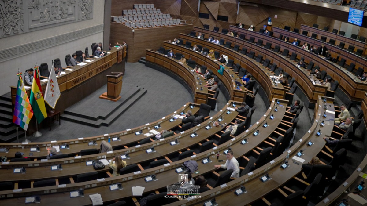 Hemiciclo de la Cámara de Diputados. Foto: legislativo