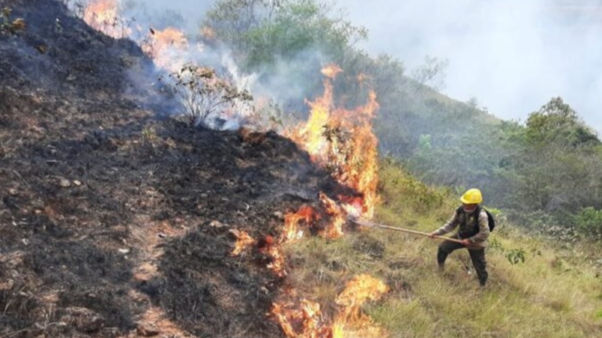 Imagen referencial de los incendios forestales en Bolivia. Fuente. Internet.