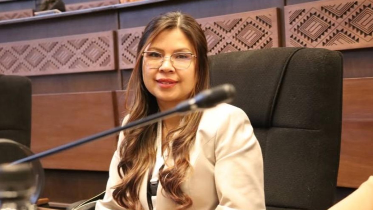 La diputada Diana Romero del PDC. Foto: RRSS