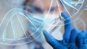 Proyecto de ley busca garantizar diagnóstico y tratamiento integral para enfermedades raras en Bolivia