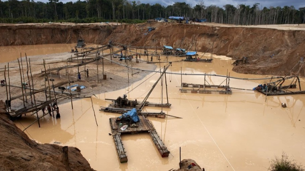 Foto: Actualidad Ambiental
