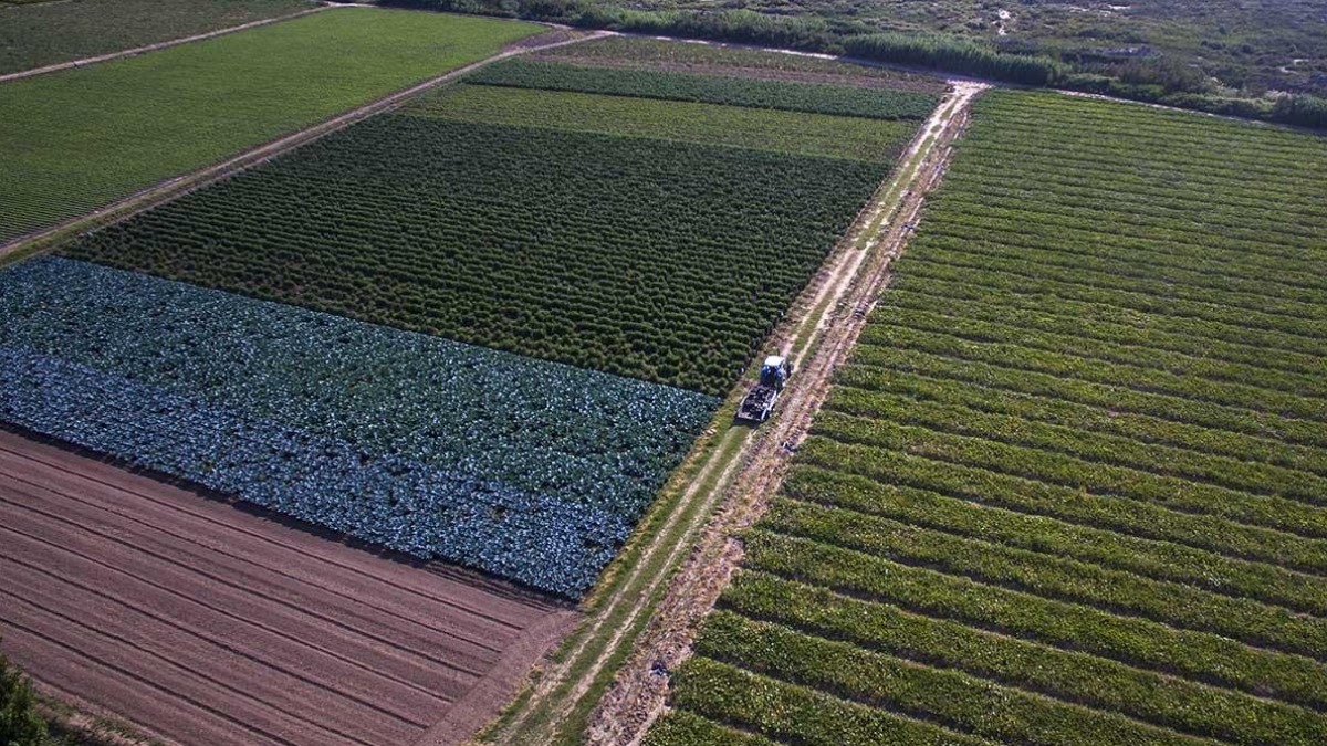 Imagen referencial. Foto: Tierra viva