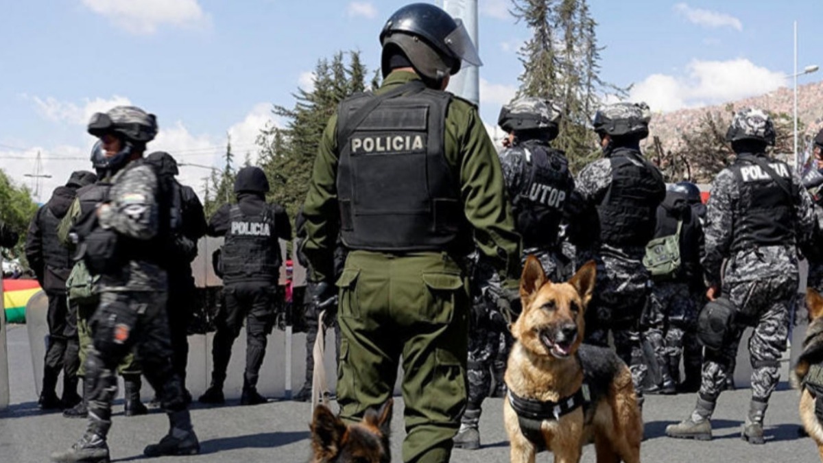 Imagen referencial
