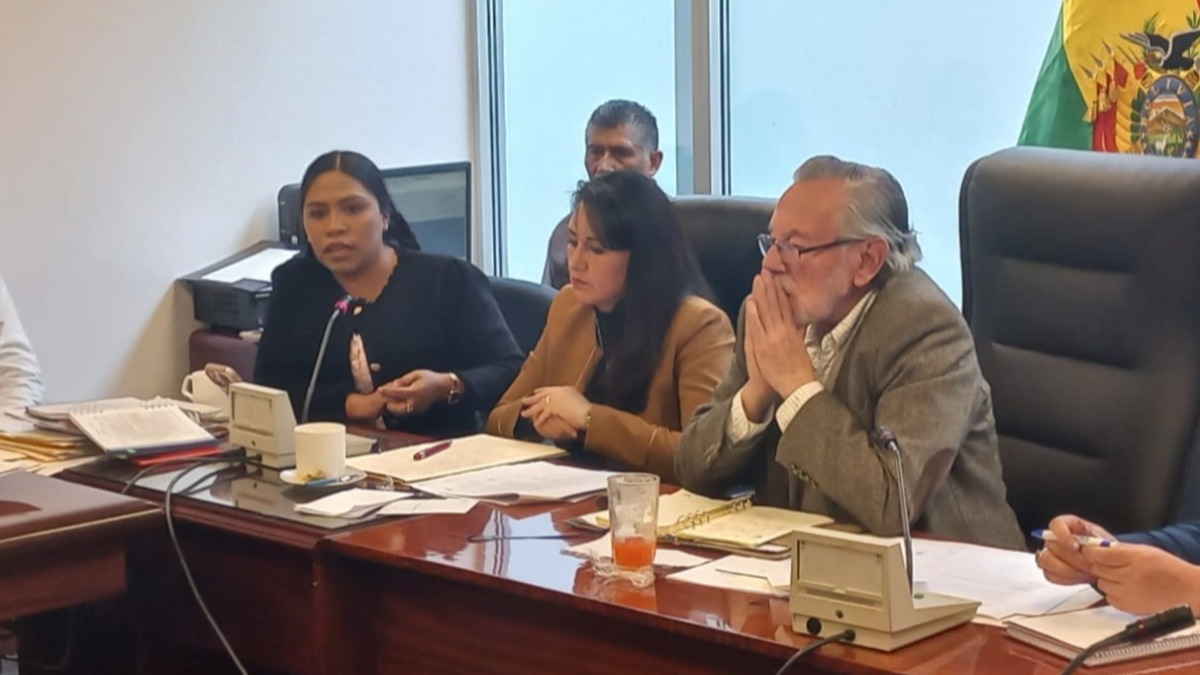 La magistradas del TCP explicaron a la comisión de Constitución la necesidad de la norma. Foto: ANF