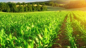 Miembros del Departamento de Agricultura de los Estados Unidos visitan La Paz, Cochabamba y Santa Cruz