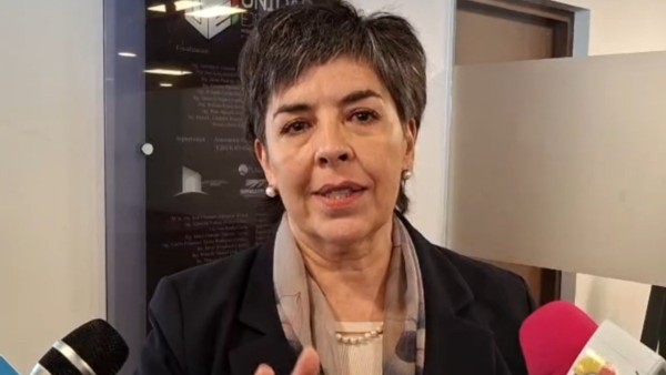 Diputada Cecilia Requena. Foto: ANF
