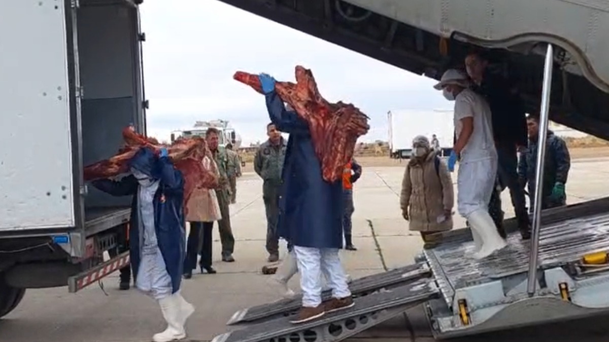 Descargan carne traída desde Santa Cruz en un avión militar.