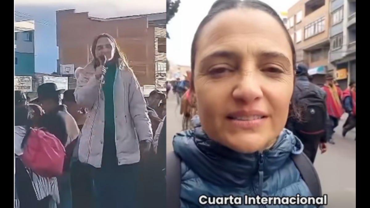 Diputada argentina Mercedes Trimarchi en sus videos publicados en redes sociales.