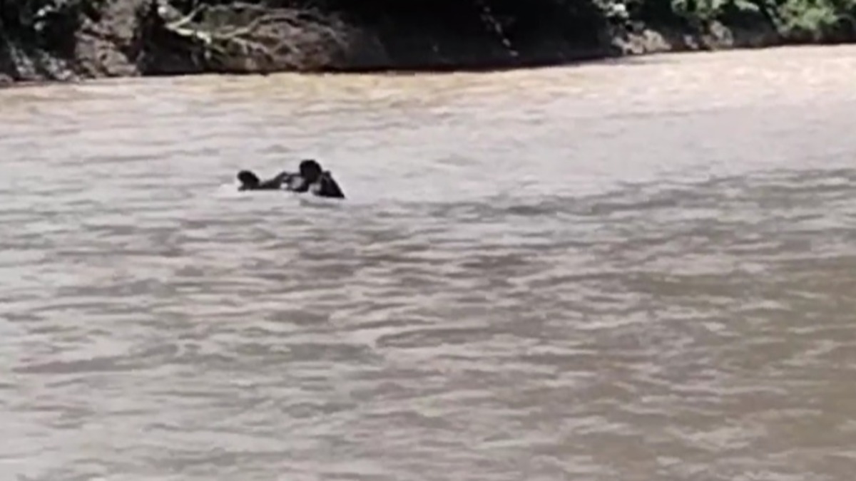 El vehículo que cayó flota este sábado es el río de Guanay. Captura de video.