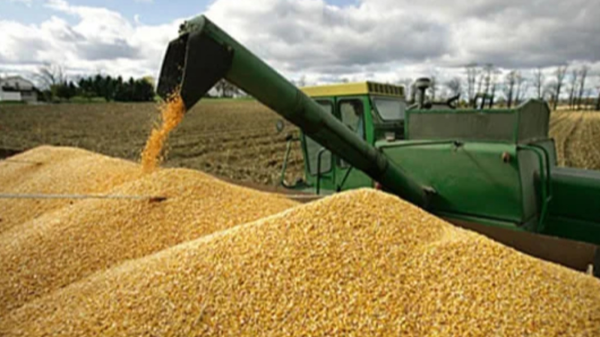 Foto: Agro sinergia