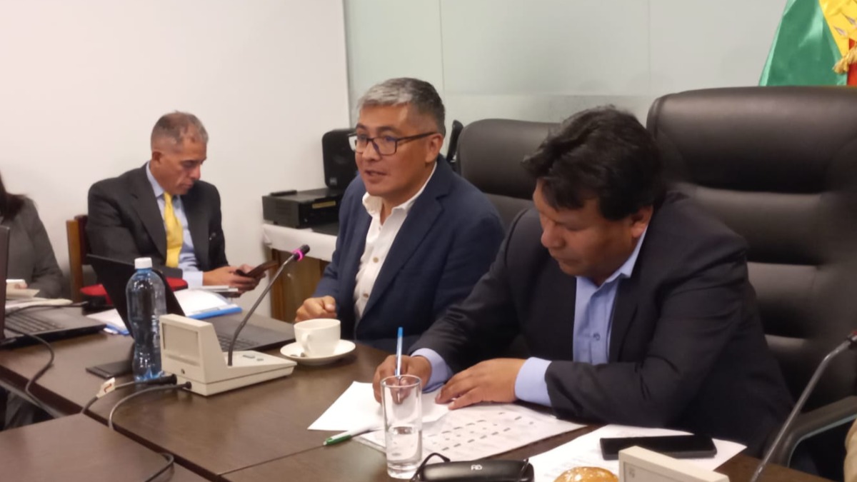 Ministro de Economía, Gabriel Espinoza, en la comisión de Planificación de Diputados. Foto: ANF